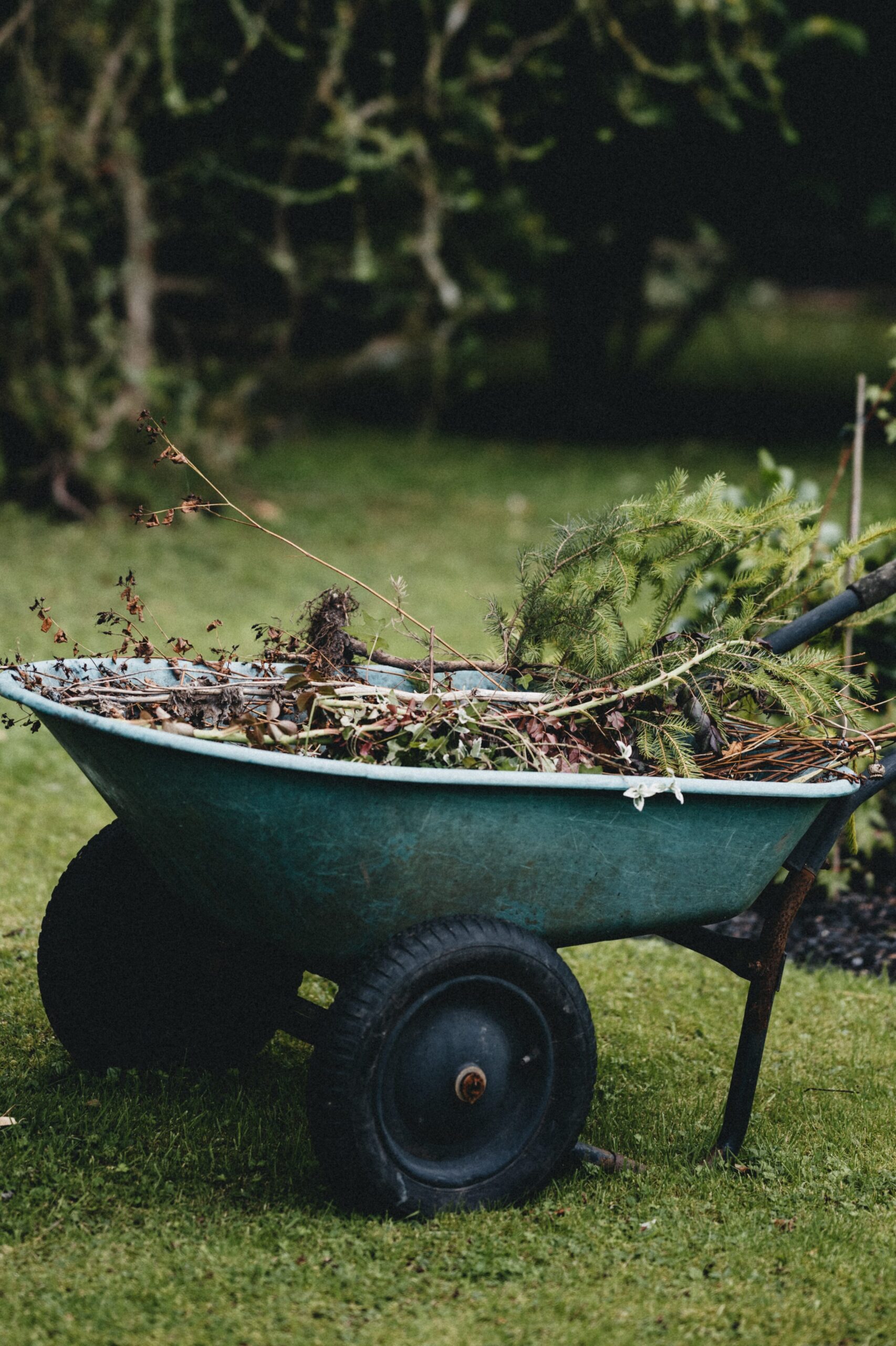 photo brouette dechets verts 